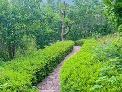 -天目湖涵田度假村