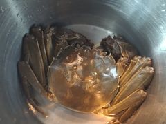 -星伦多 自助料理(圆融店)