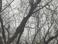 -盘龙城国家考古遗址公园