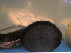 -同乐酒楼(皇后镇店)