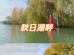 -白洋淀景区
