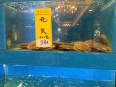 -金苑海鲜酒家(新港中路店)