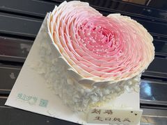 -维尔纳斯·生日蛋糕动物奶油冰淇淋蛋糕(人大店)