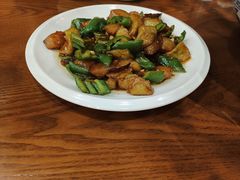 -邵年鸽(杨庄店)