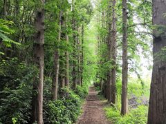 -同里国家湿地公园