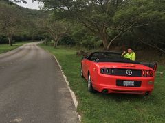 -丽姐租车