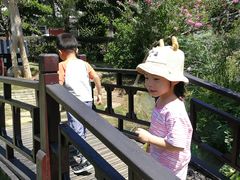 -武汉紫薇都市田园