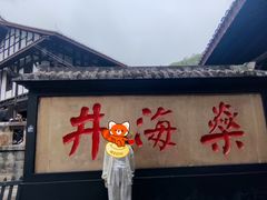 -燊海井