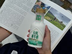 -武昌江滩