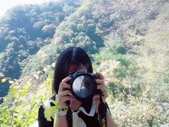 -王顺山国家森林公园