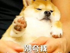 -潮派KTV(东晓南旗舰店)