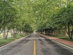 -河南省黄河迎宾馆