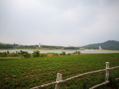 -大连铭湖国际观光牧场