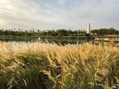 -克拉玛依河景区-九龙潭