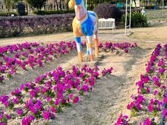 -广东花都香草世界旅游度假区