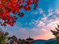 -九如山休闲旅游度假区