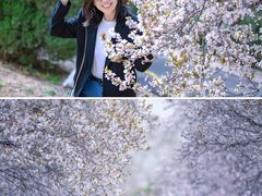 -山东师范大学(千佛山校区)