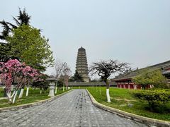 -法门文化景区