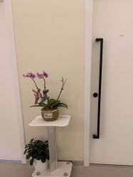 -海涛医疗美容·面部抗衰·注射美鼻