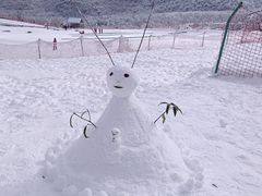 -西岭雪山大飞水景区