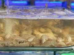 -友强·23年特色海鲜大排档(厦门店)