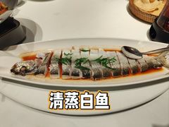 -望海湾海鲜楼·海鲜(河南路店)