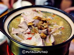 猪肚鸡-聪辉同安老美食饭店(大元路店)