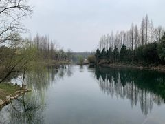 -东平国家森林公园