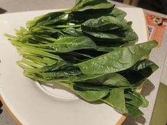 -海底捞火锅(八佰伴店)