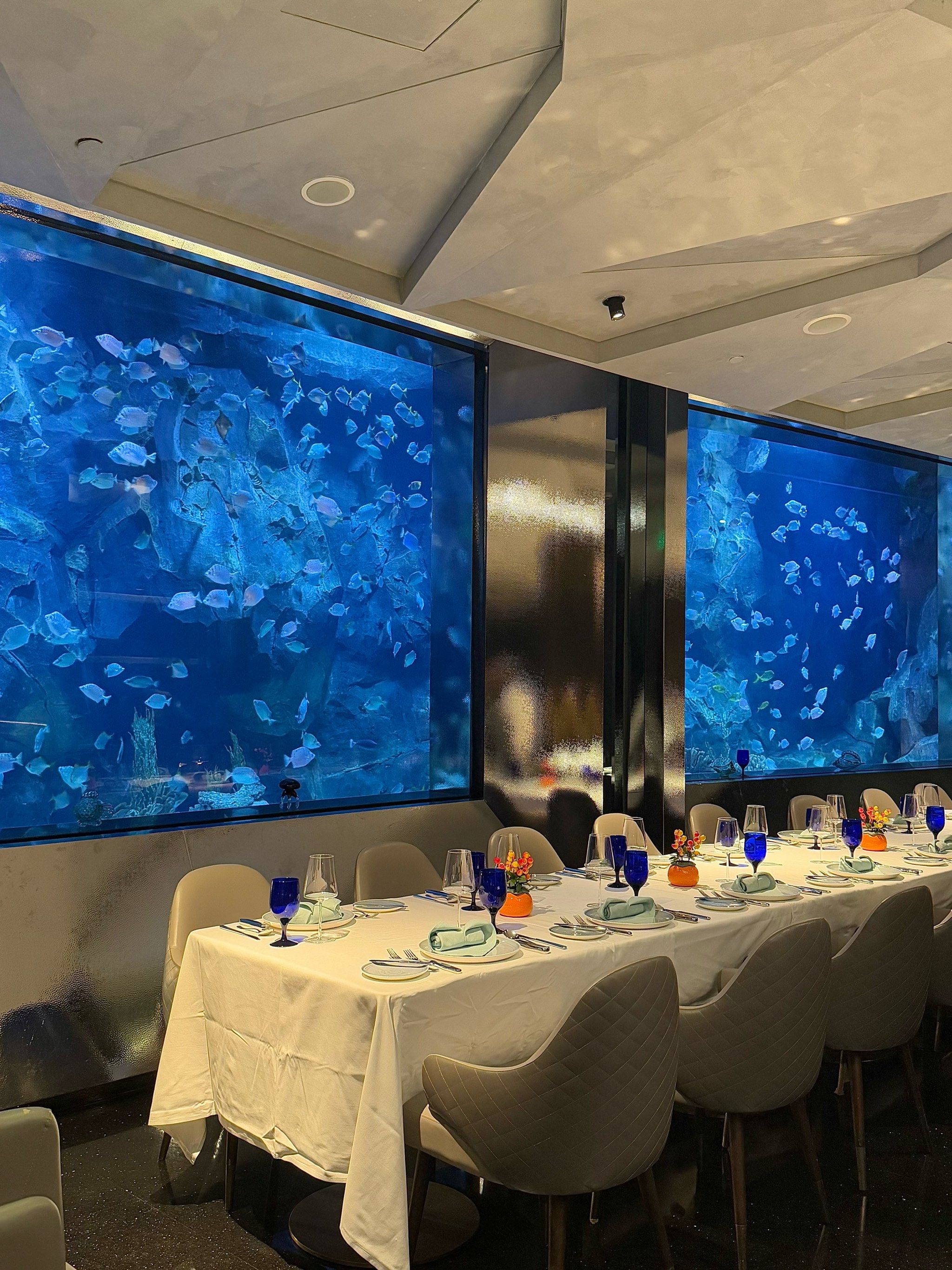 上海新年"入坑"浪漫海底餐厅🪼附春节攻略