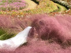 -上海滨江森林公园