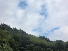 -杨家堂村
