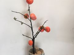 -铁道茶苑.色稷餐厅(莲花南路店)