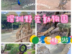 -深圳野生动物园