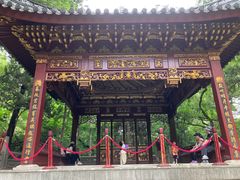 -汇龙潭