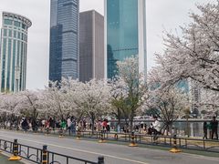 -西北湖绿化广场