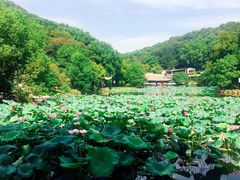 -团城山公园