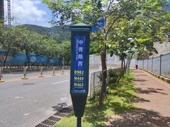 -梧桐山风景名胜区