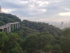 -金鸡山公园
