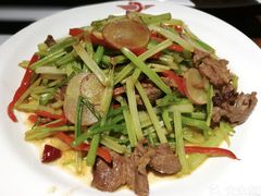 毛芹炒肉-海尔巴格一甸茶餐厅(团结路店)