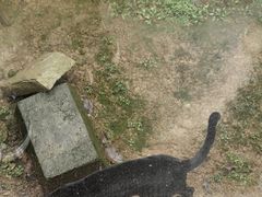 -宁波野生动物园
