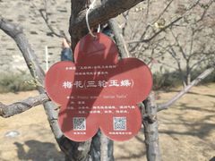 -鼎泰丰(国贸商城店)