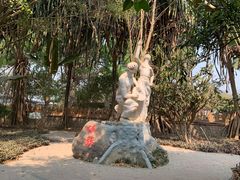 -瑞丽独树成林风景区