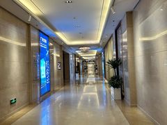 -郑州新郑国际机场T2航站楼-贵宾厅B区