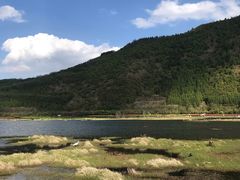 -腾冲北海湿地