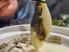-肆月河豚·新淮扬(金融街店)