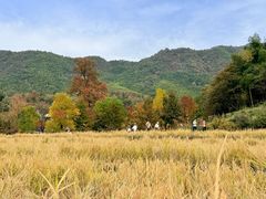 -塔川景区