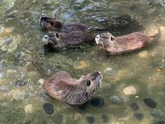 -水上乐园·欢乐世界