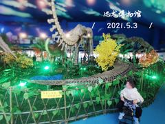 -诸城市恐龙博物馆