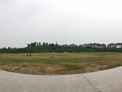 -秀丽东方